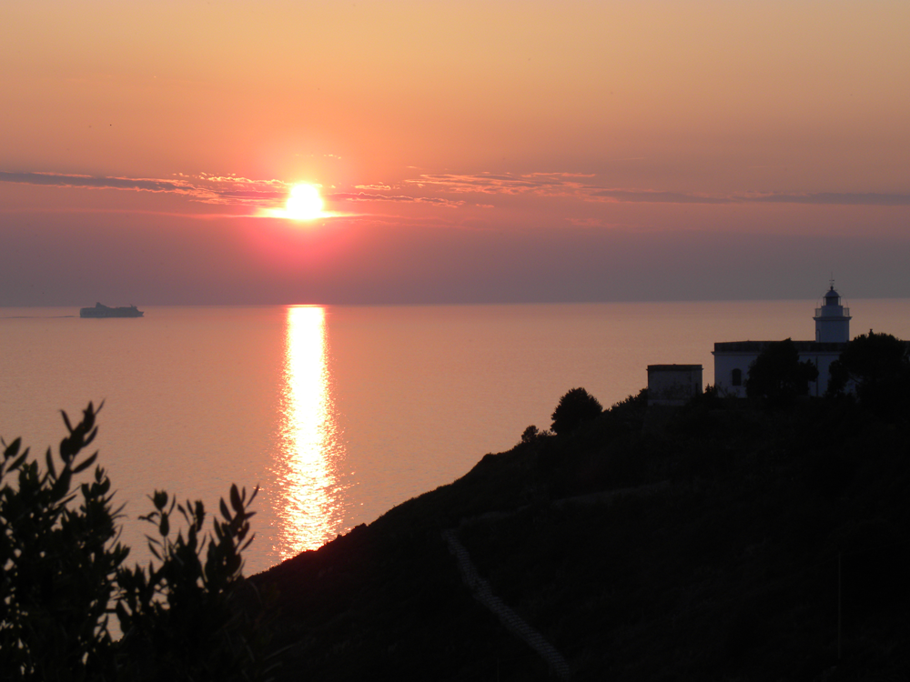 Isola d'Elba / Villa Issopo